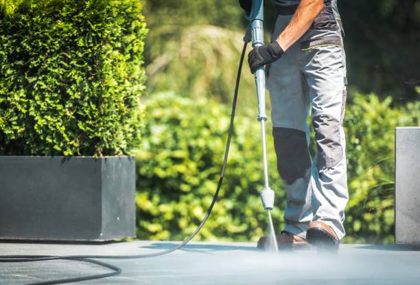 Best Sidewalk and Walkway Cleaning  in Lake Holiday, IN