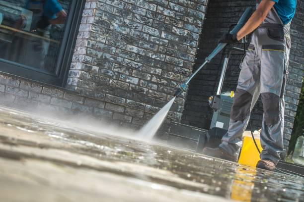 Best Driveway Pressure Washing  in Lake Holiday, IN